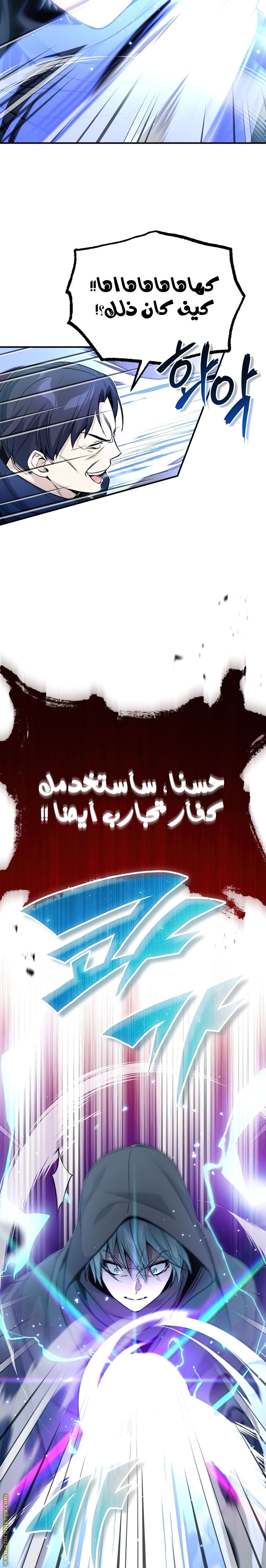 صفحة 17