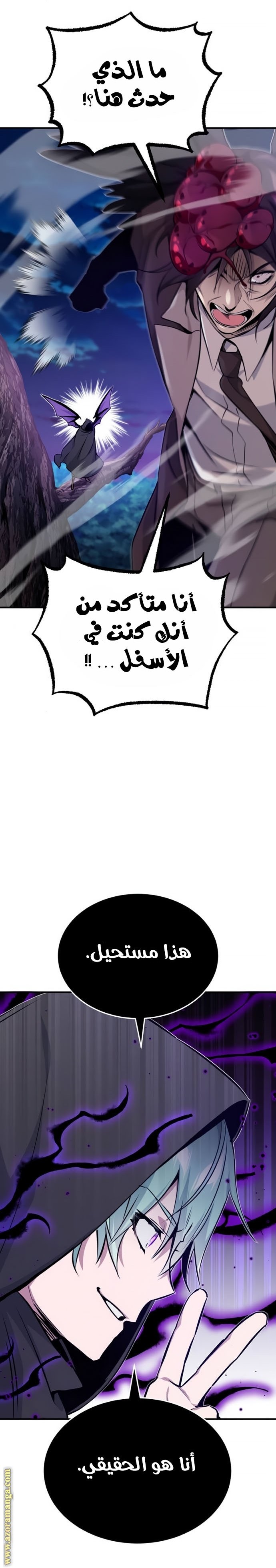 صفحة 17