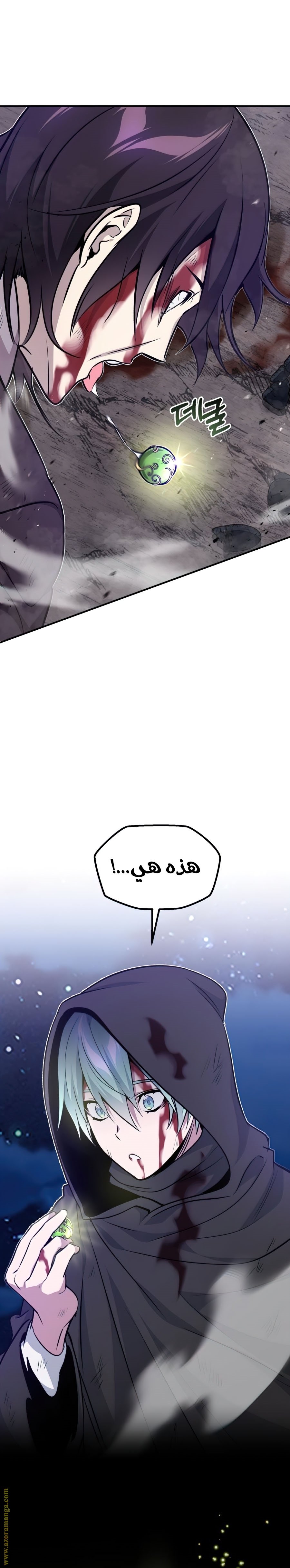 صفحة 29