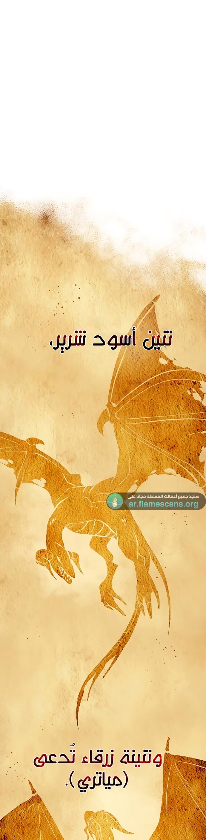 صفحة 10