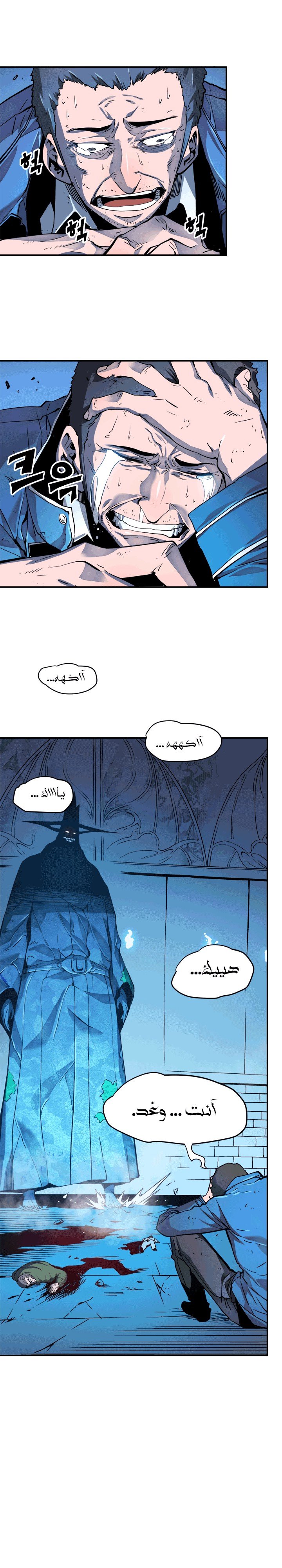 صفحة 13
