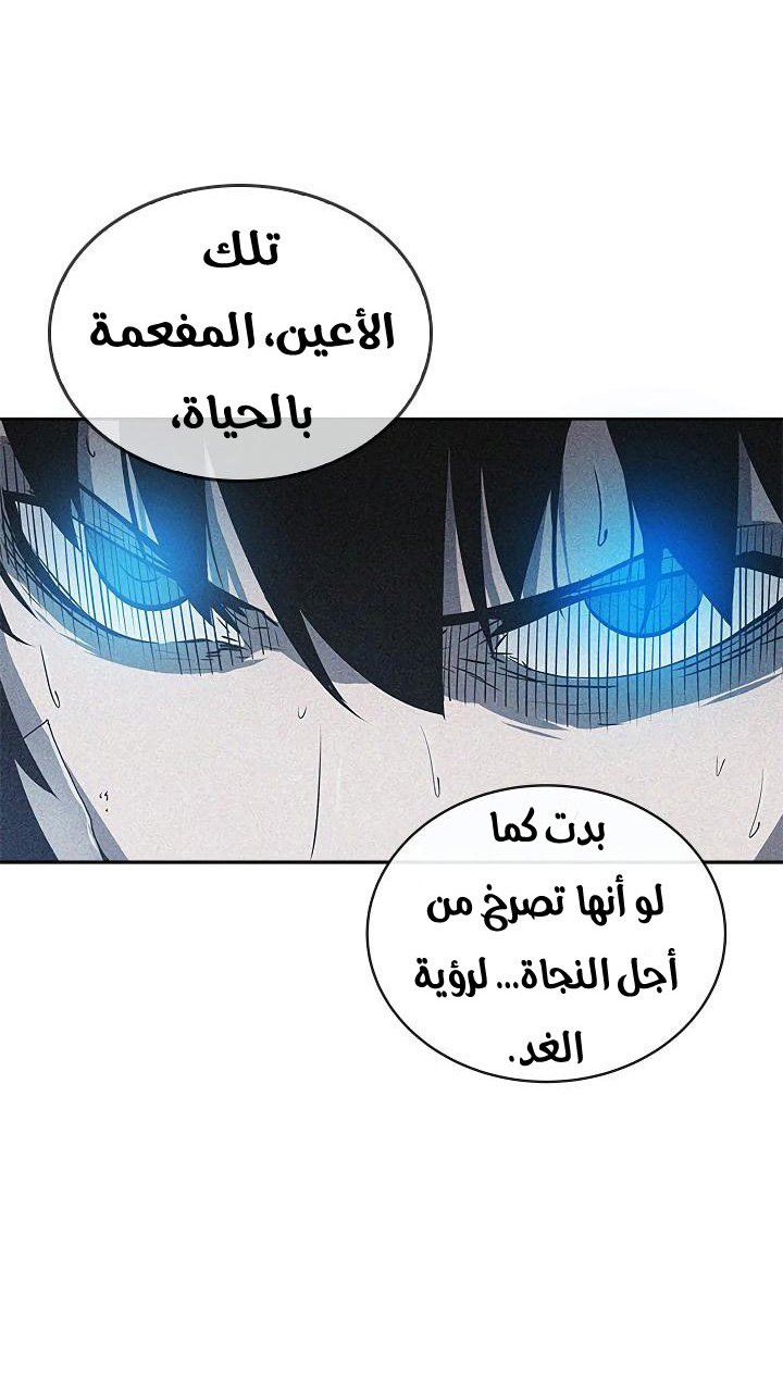 صفحة 13