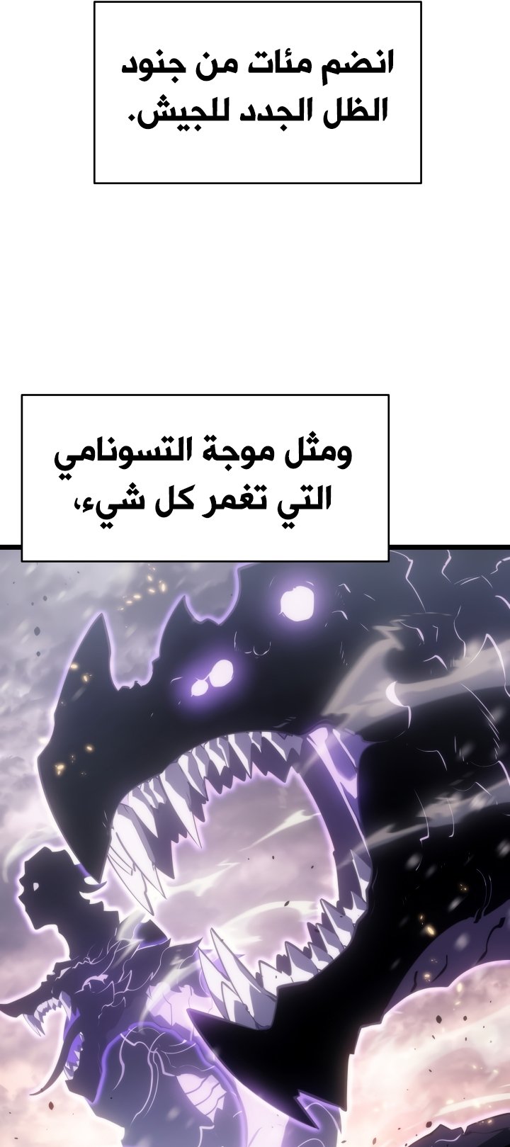 صفحة 13