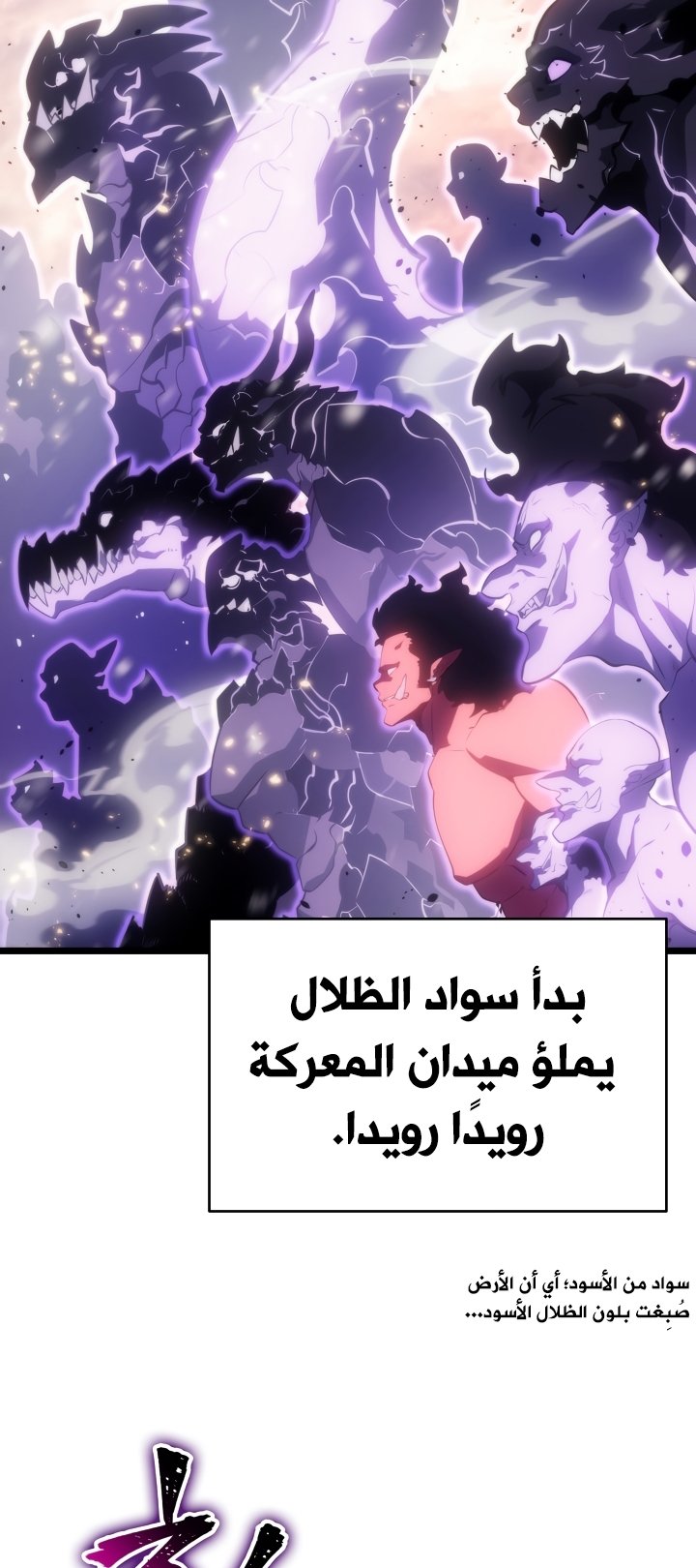 صفحة 14