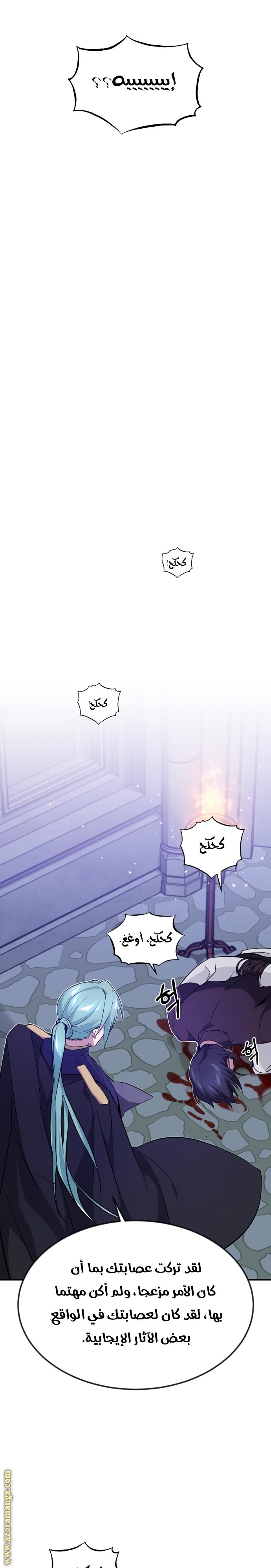 صفحة 17