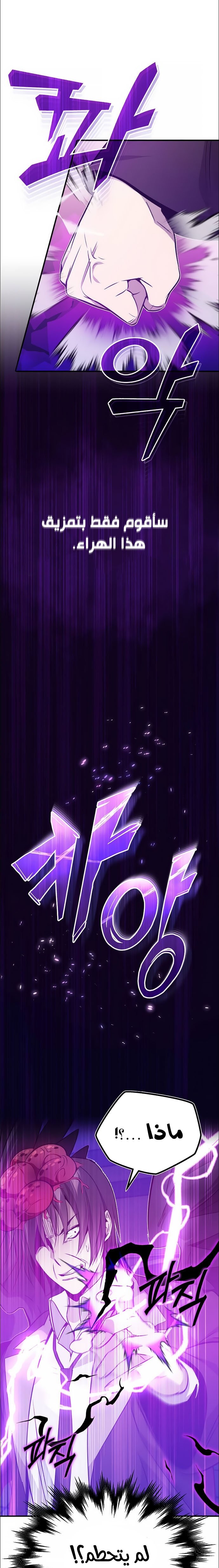 صفحة 13