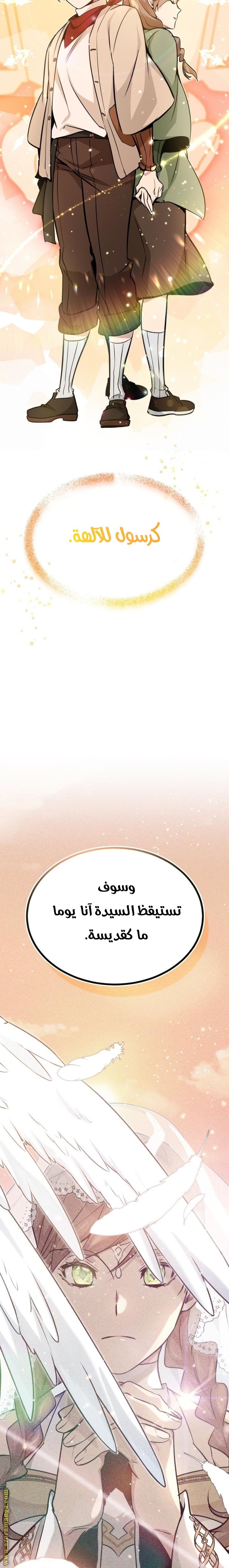 صفحة 13