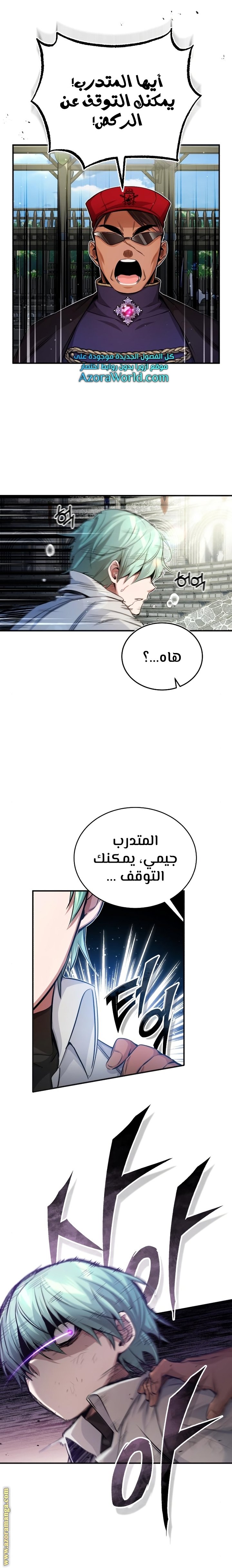 صفحة 17