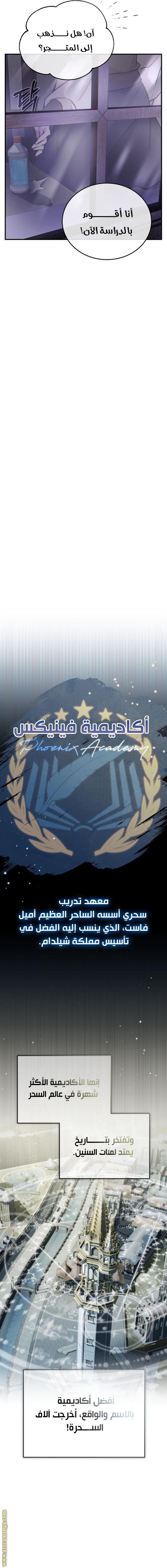 صفحة 17
