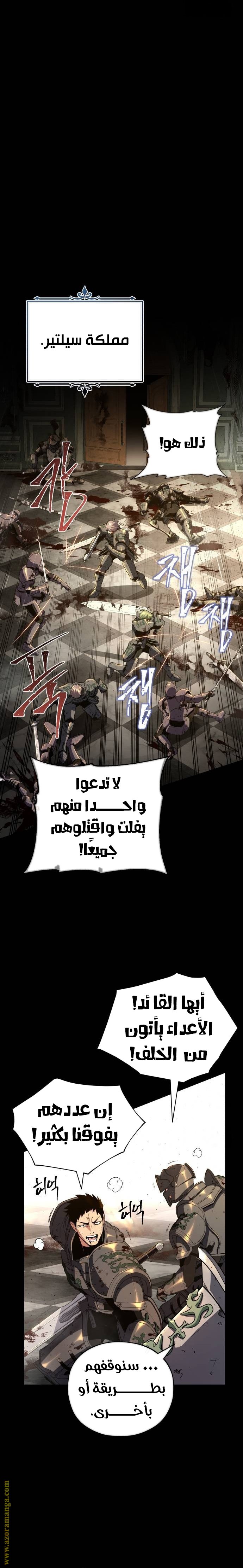 صفحة 17