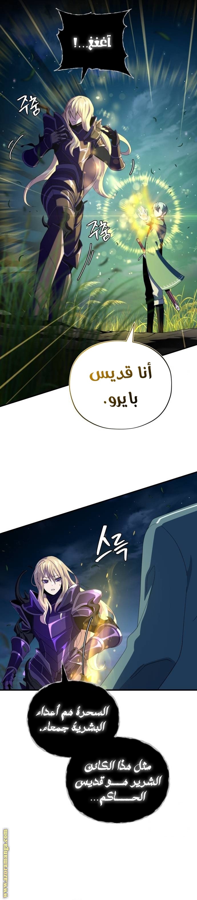 صفحة 17