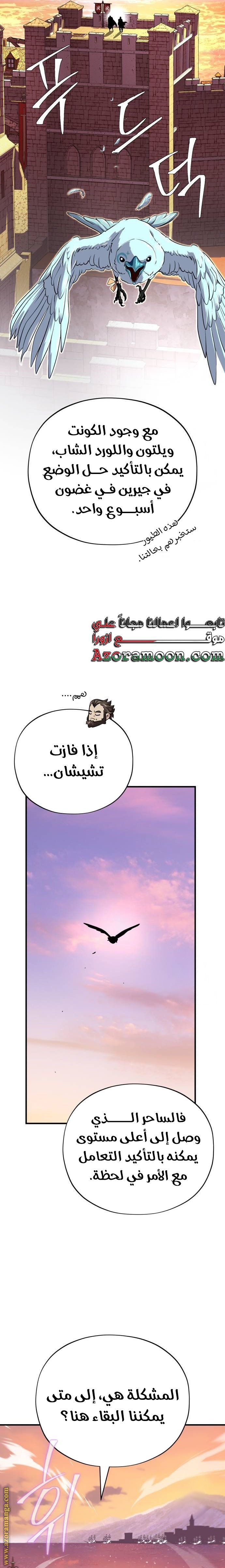 صفحة 17