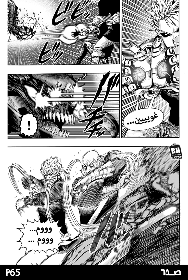 صفحة 65