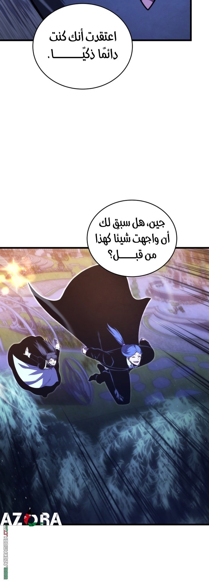 صفحة 13