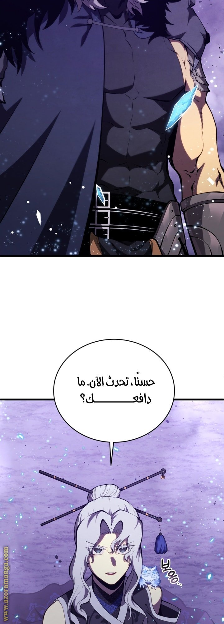 صفحة 13
