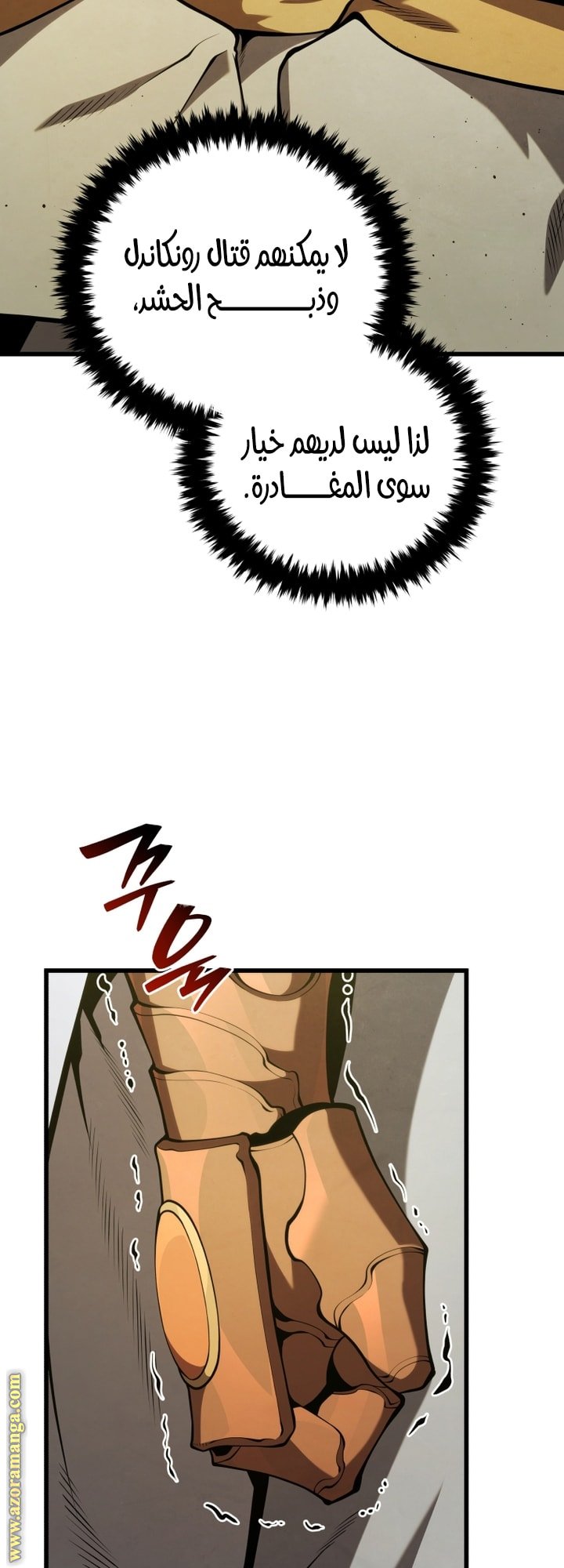 صفحة 17