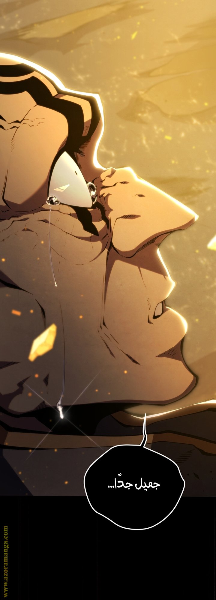 صفحة 11