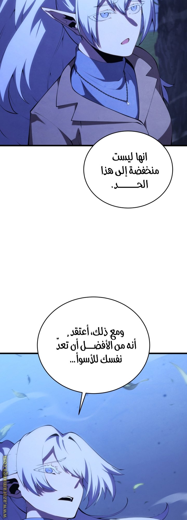 صفحة 13