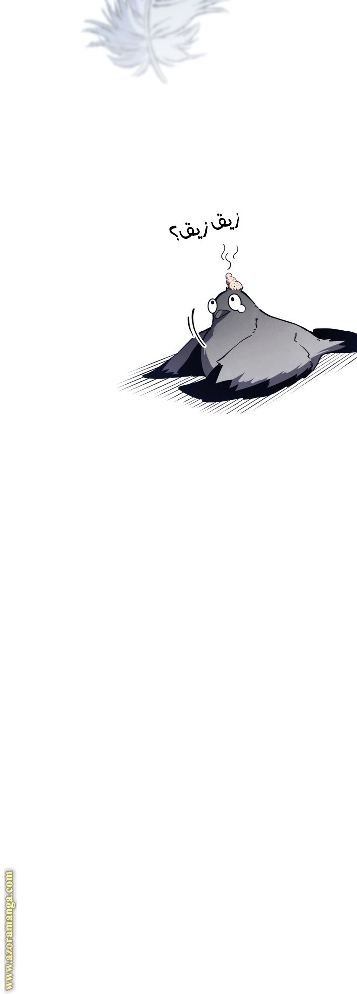 صفحة 67