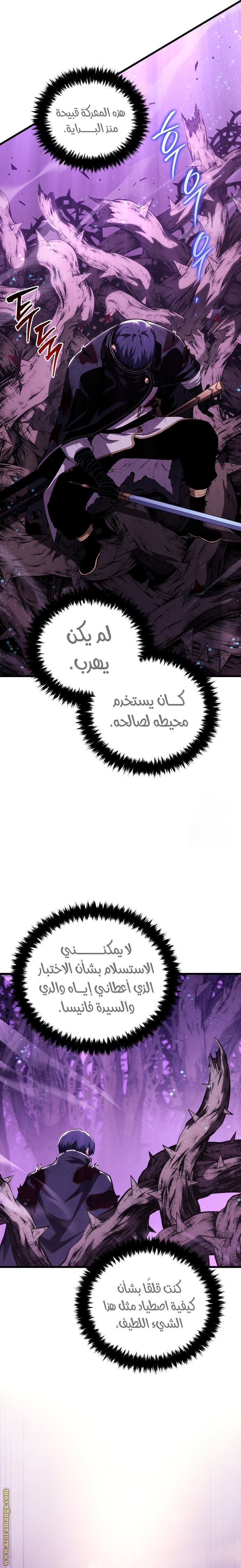 صفحة 13