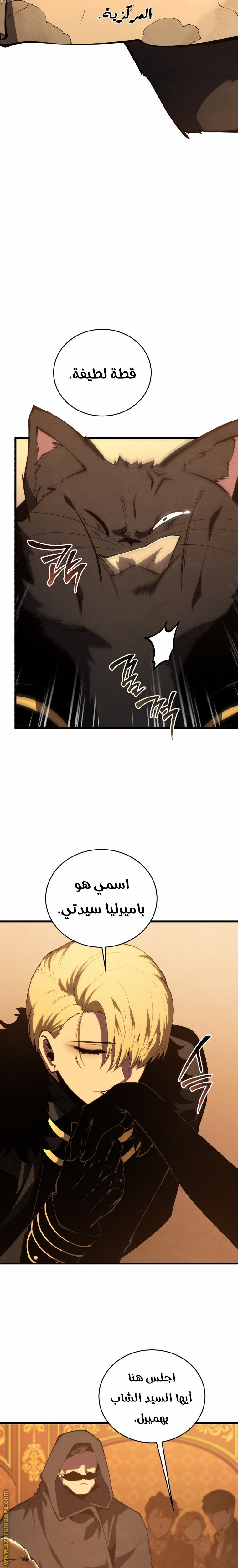 صفحة 17
