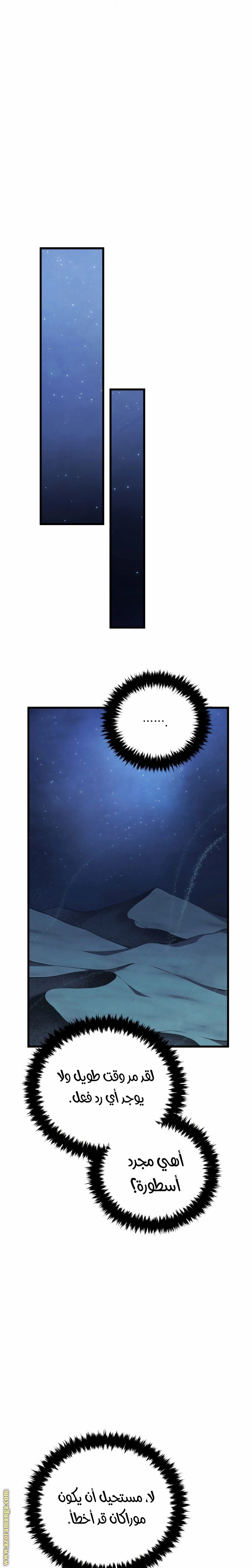 صفحة 13