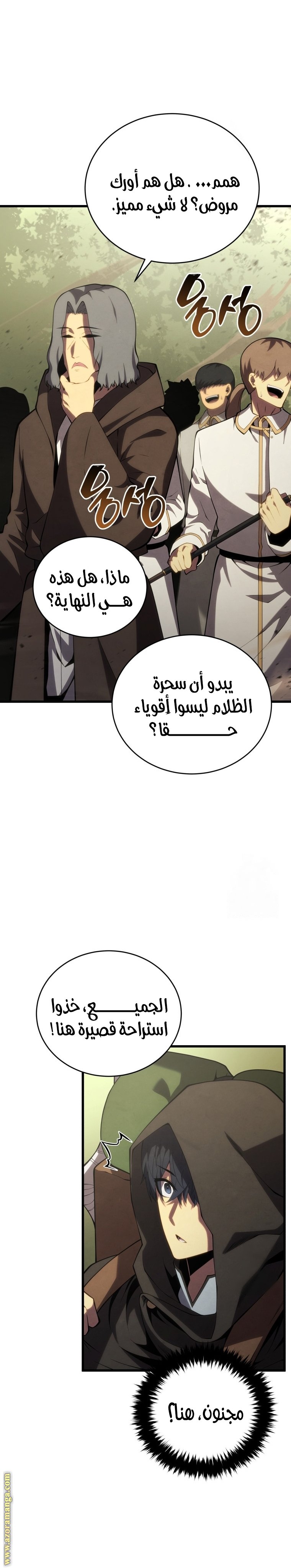 صفحة 17