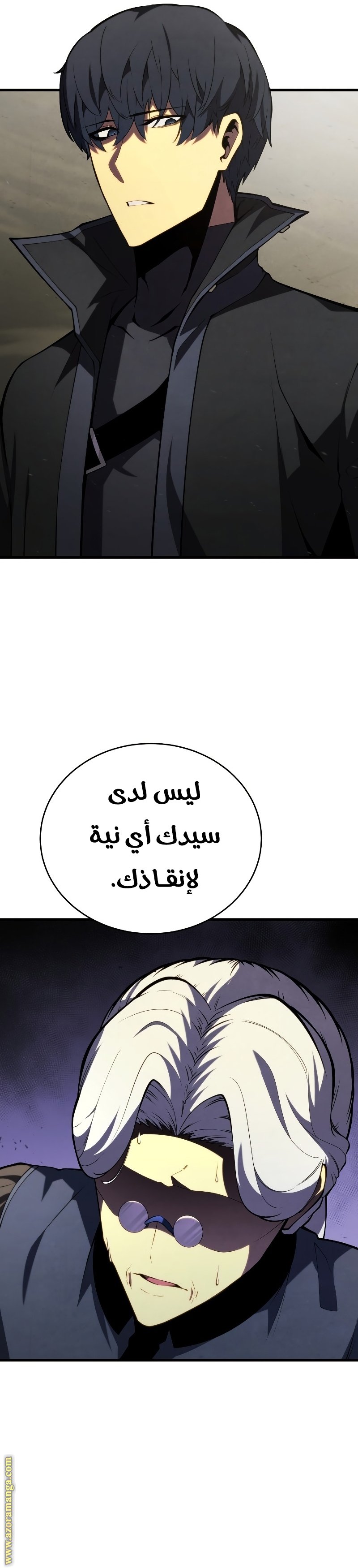 صفحة 13