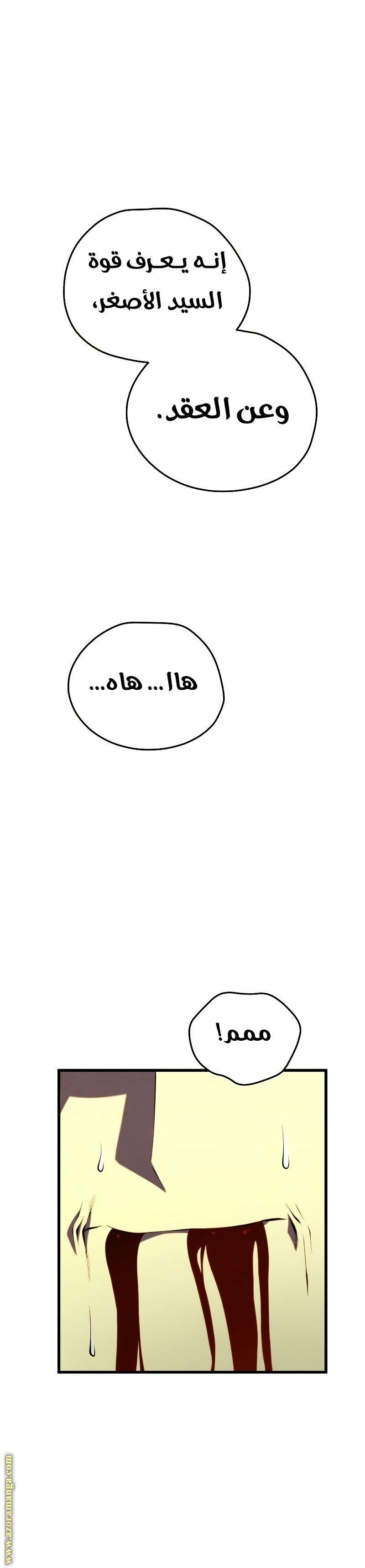 صفحة 29