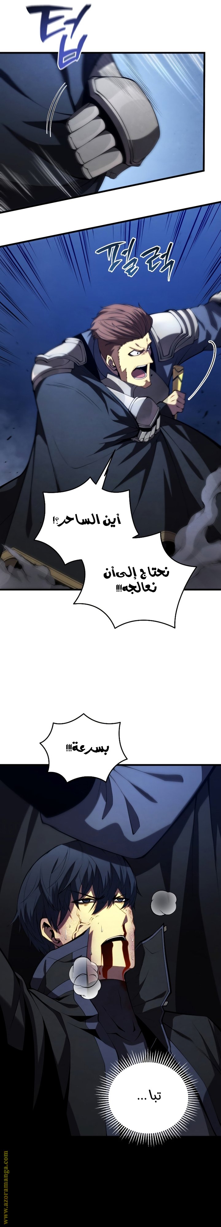 صفحة 13