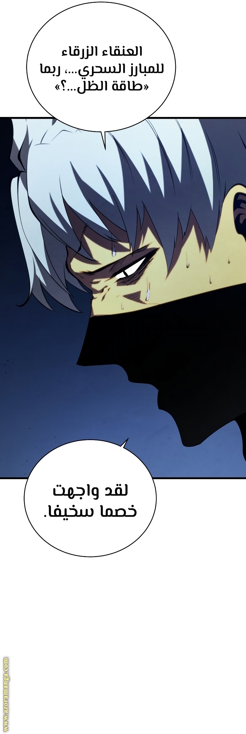 صفحة 27