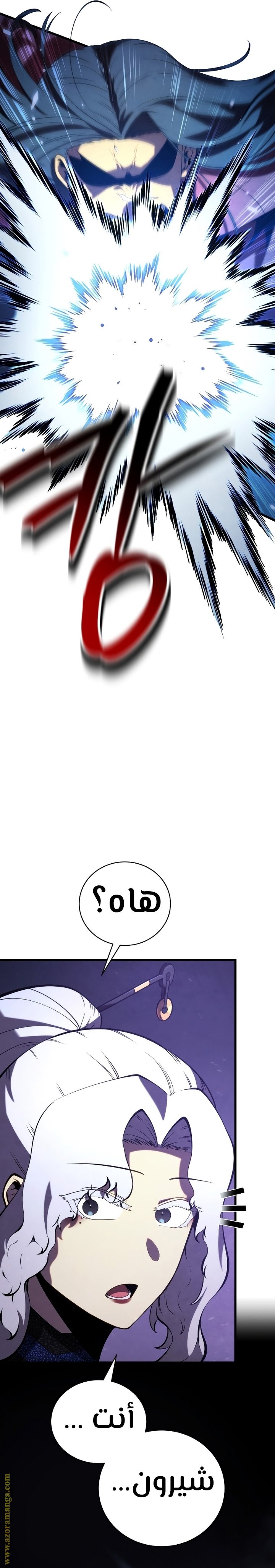 صفحة 17