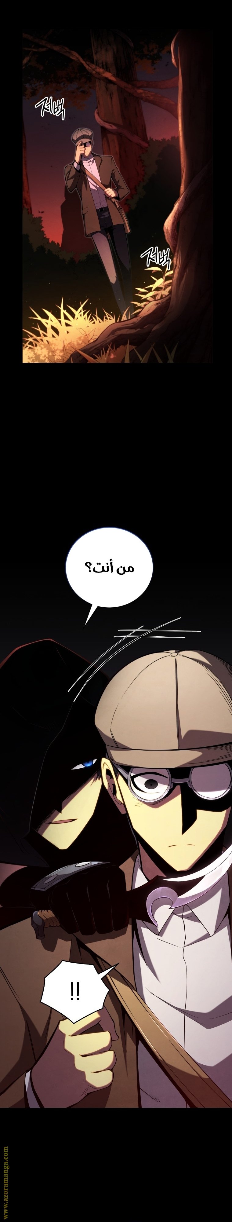 صفحة 17