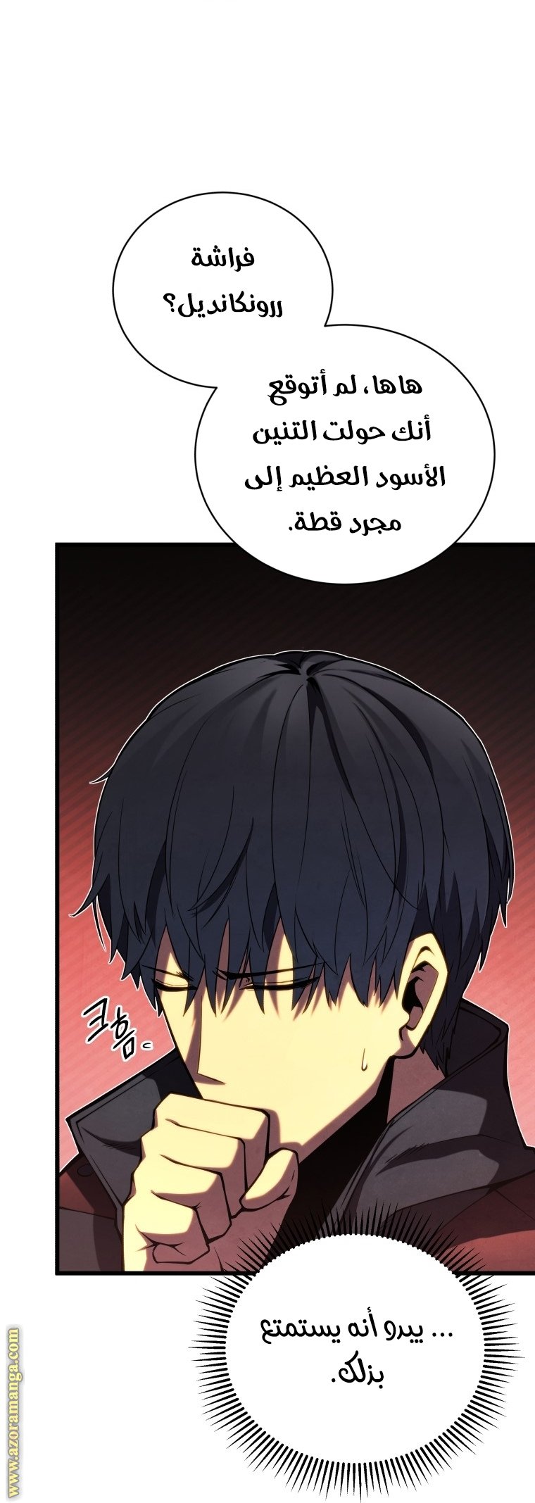 صفحة 16