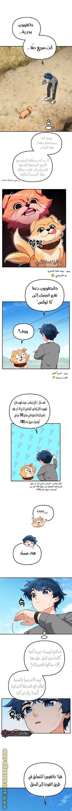 صفحة 13