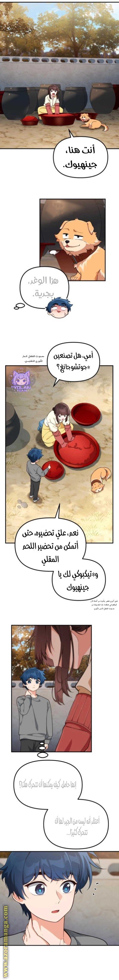 صفحة 17