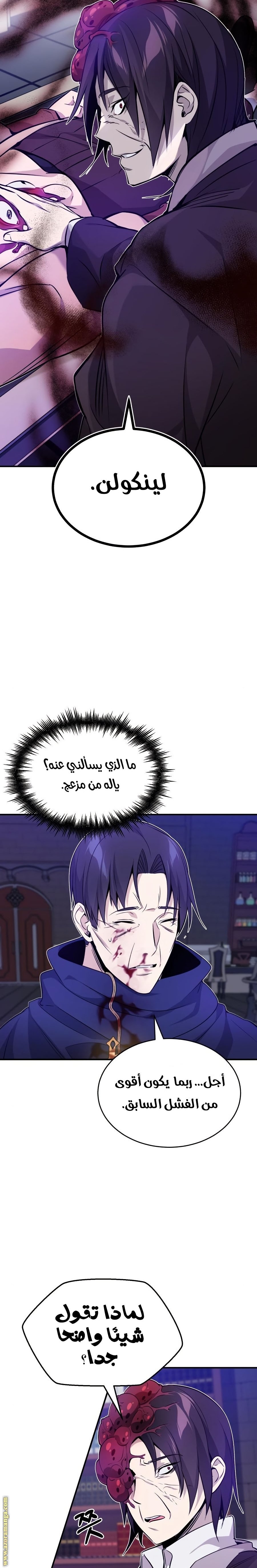 صفحة 13