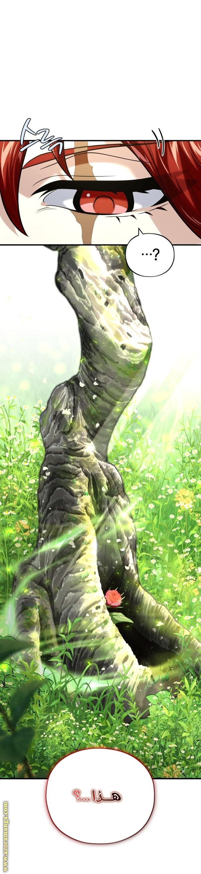 صفحة 25