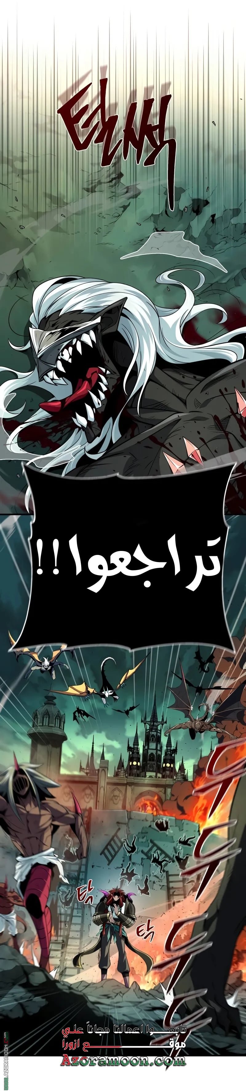 صفحة 17
