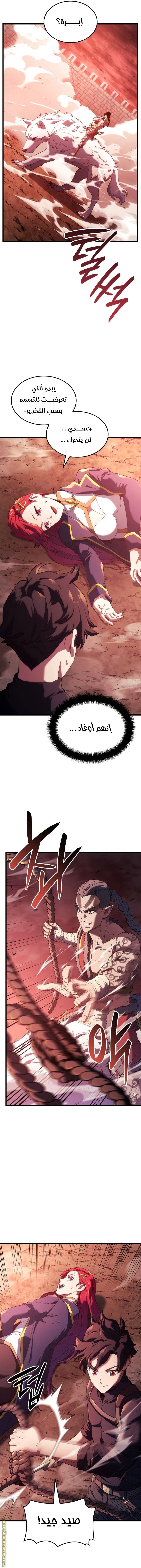 صفحة 17