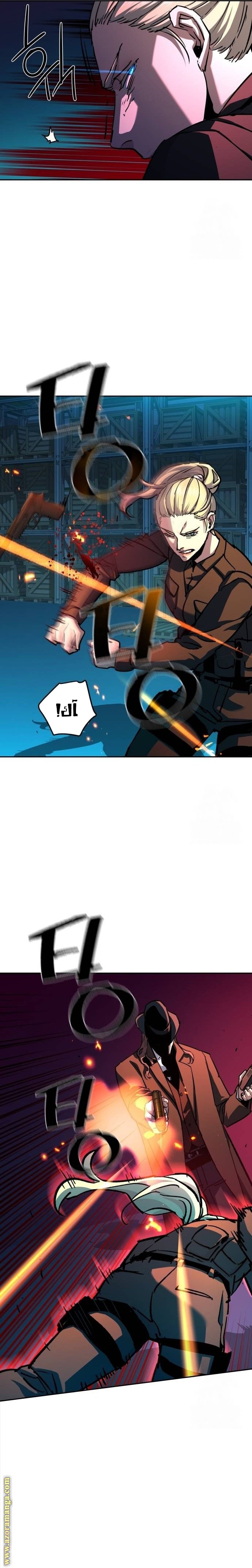 صفحة 17