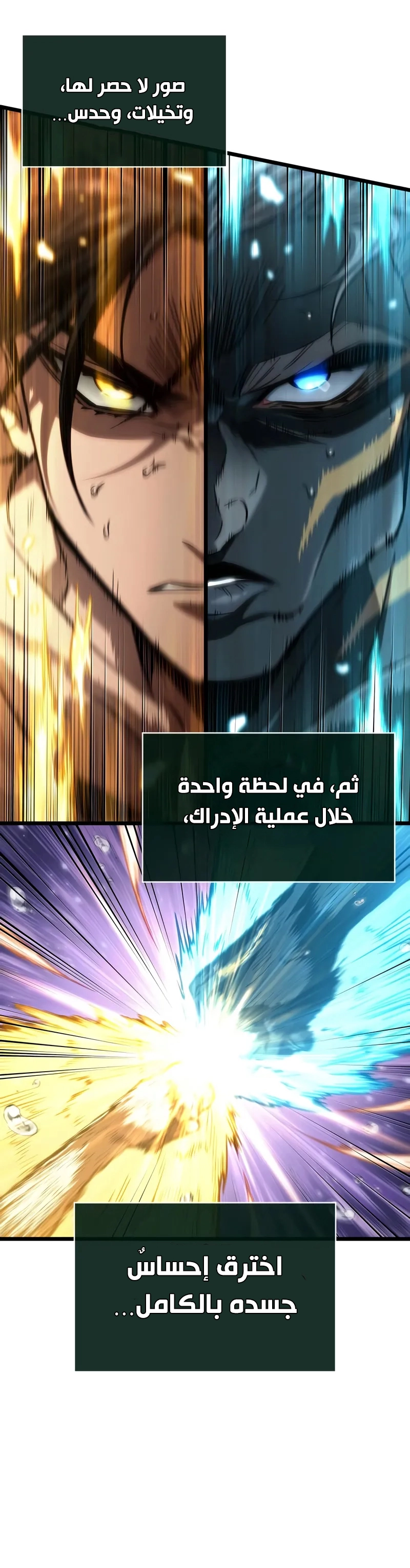 صفحة 17