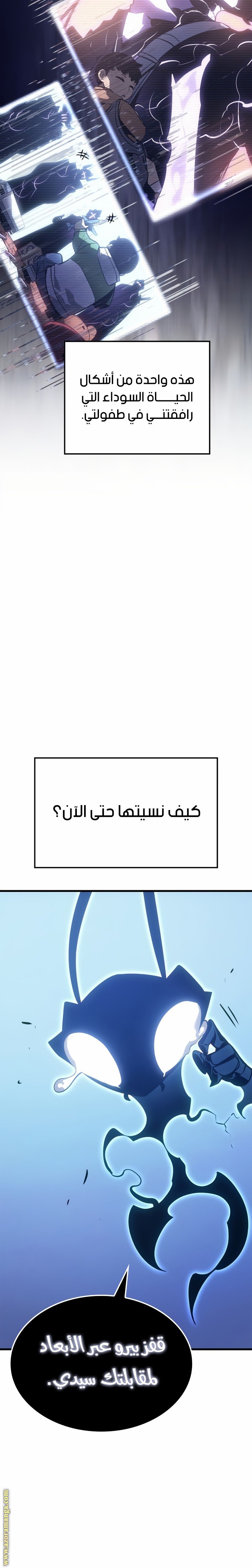 صفحة 13