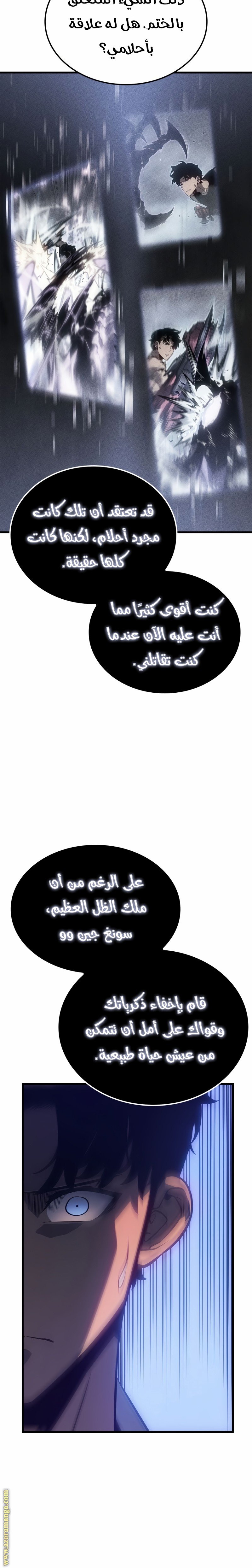 صفحة 17