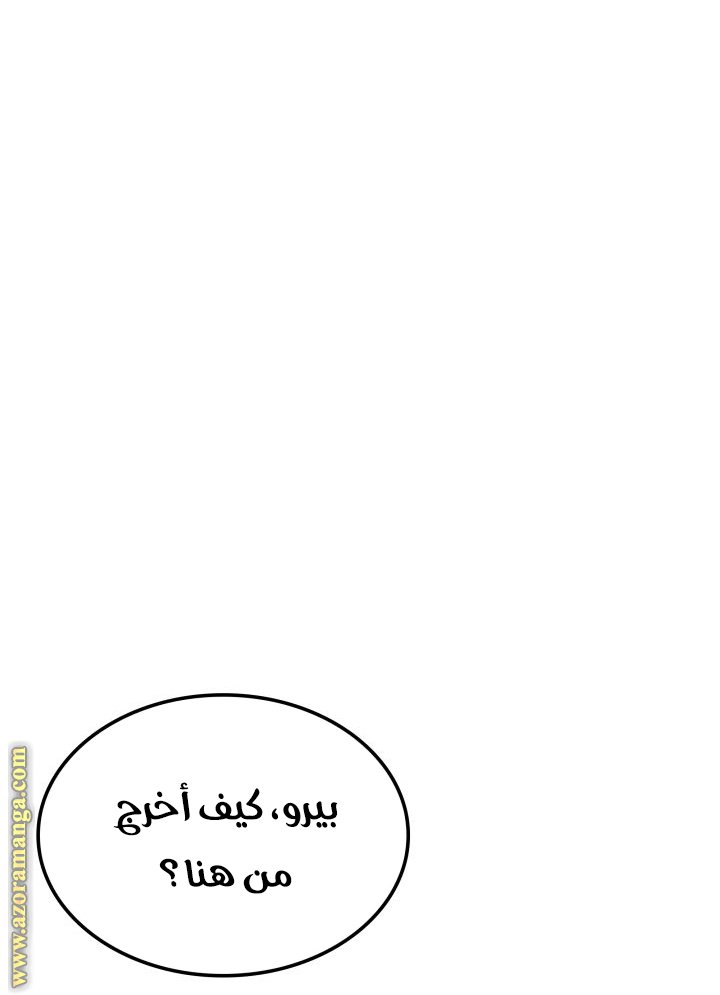 صفحة 13