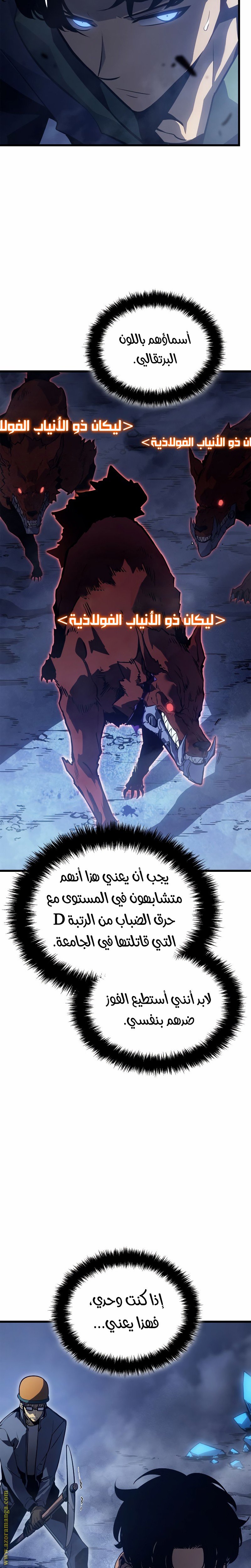 صفحة 17