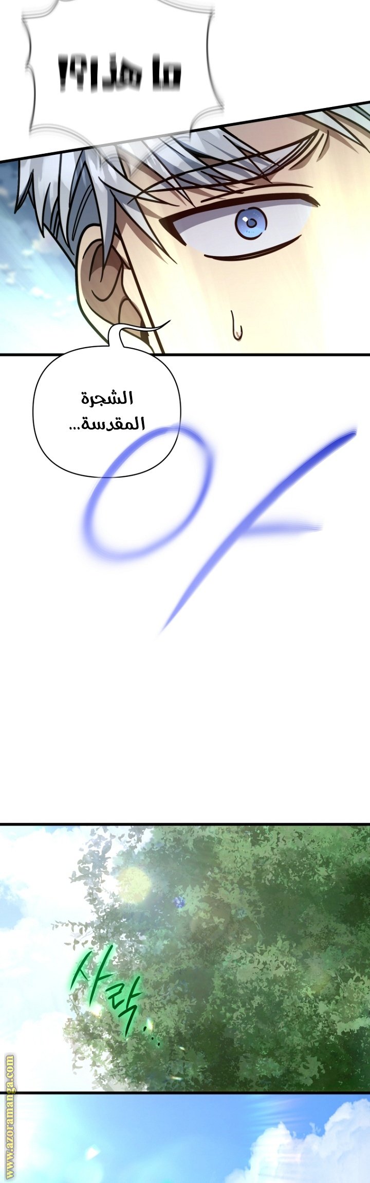 صفحة 11