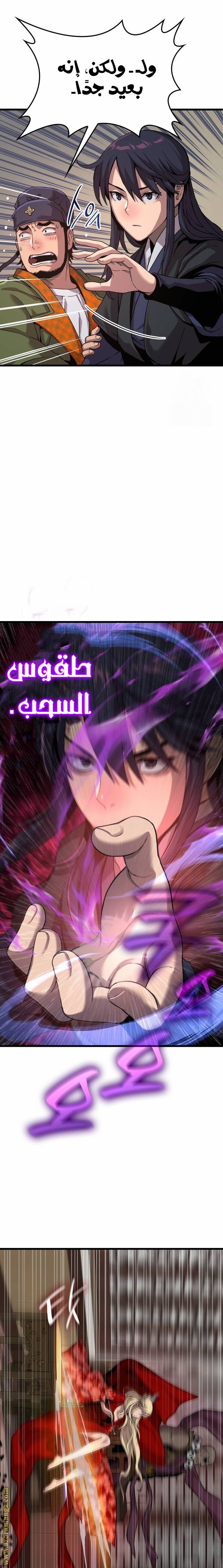صفحة 17
