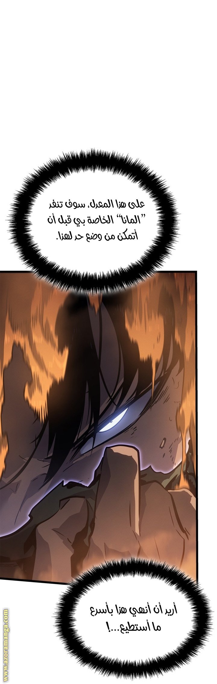 صفحة 17