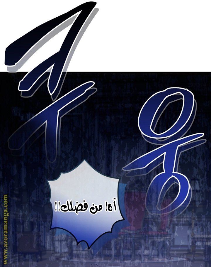 صفحة 17